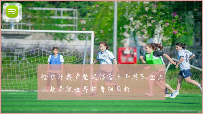 恰尔汗奥卢坚定信念土耳其队全力以赴争取世界杯晋级目标