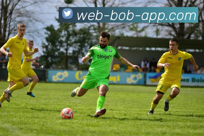 BOB体育APP 封面图